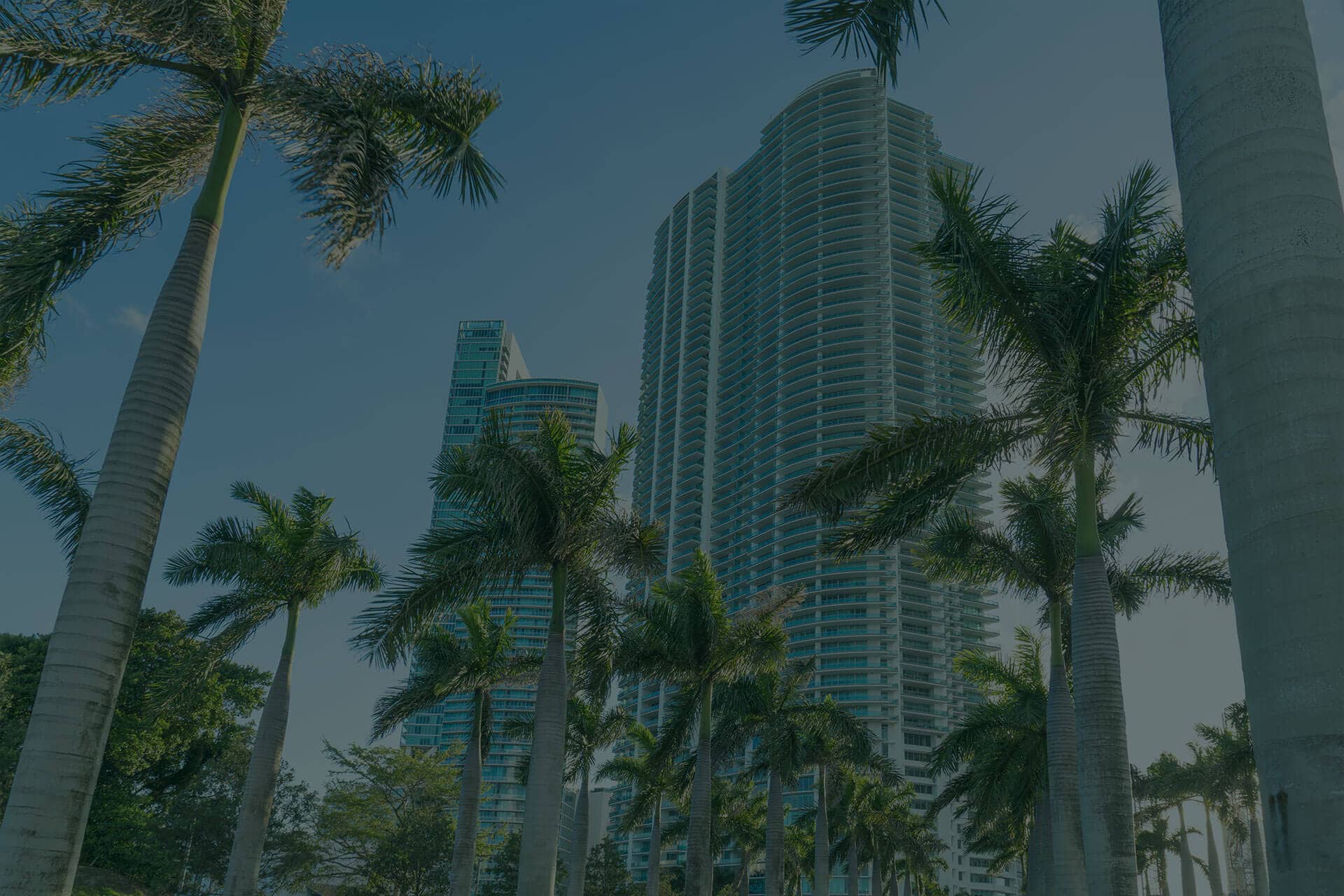 Large image of South Florida palm trees and high-rise buildings